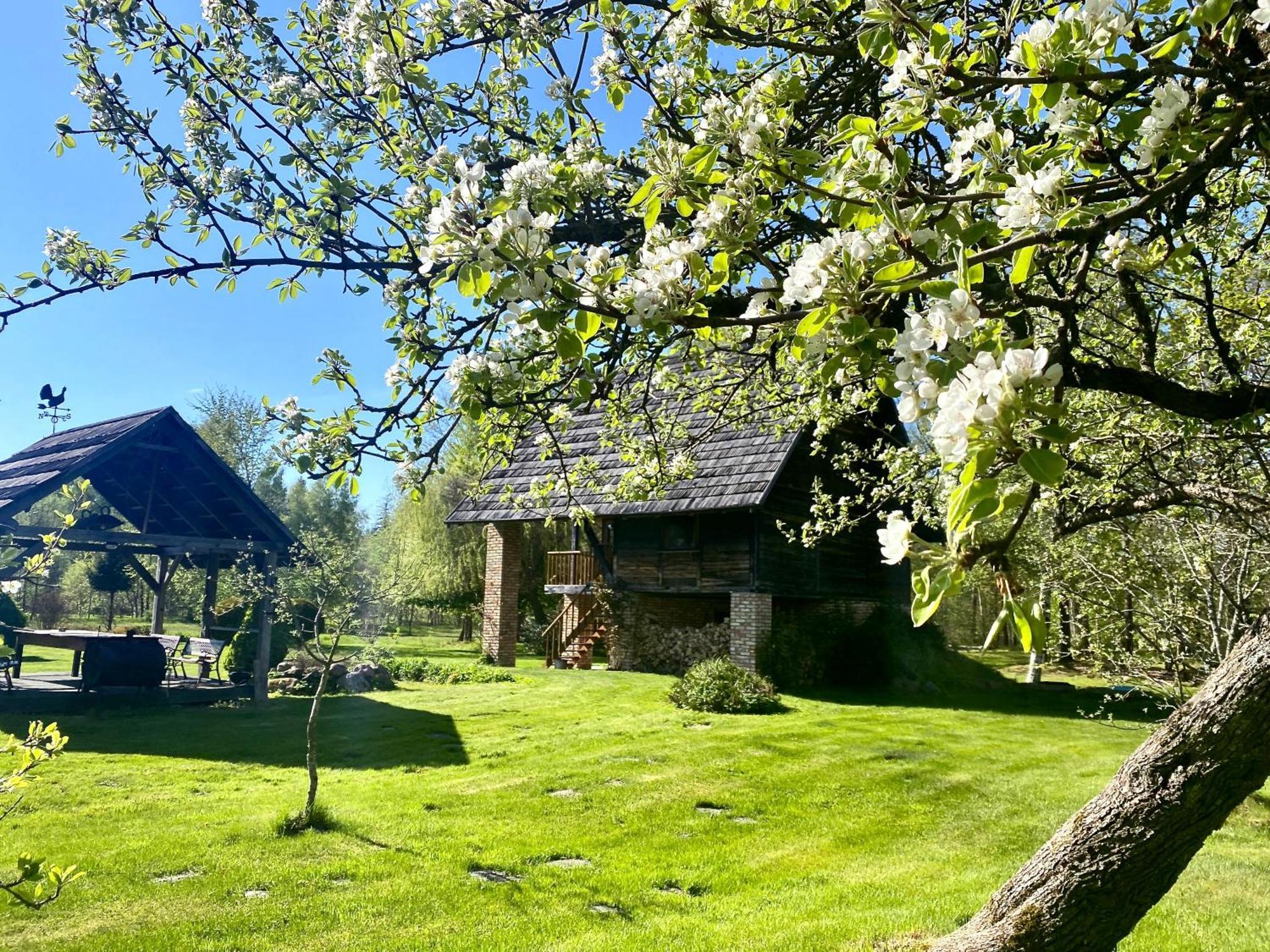 Villa Griki à Kalniski Extérieur photo